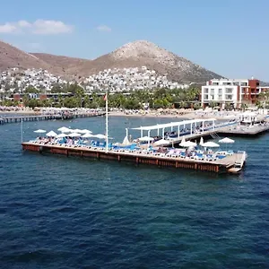 Sundance Turgutreis